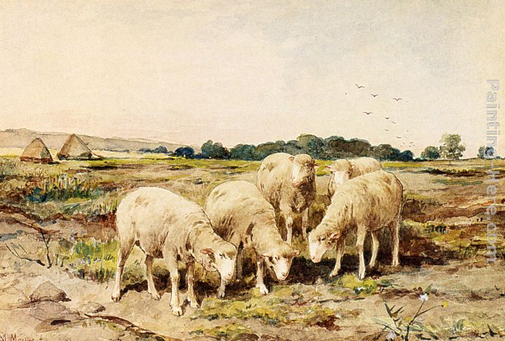 Anton Mauve Grazing Sheep